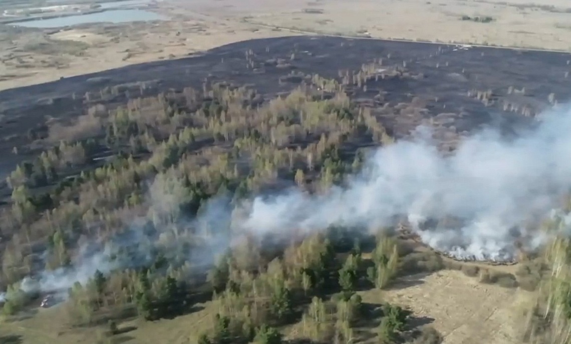 В Пензенской области за неделю произошло более ста ландшафтных пожаров